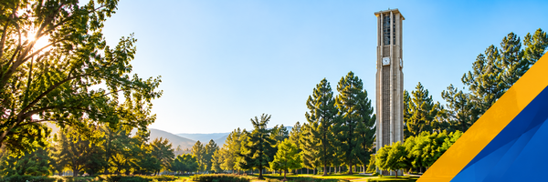 Sunlit Campus with Bell Tower